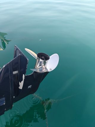 Barco Dipol 600CP - 115CV