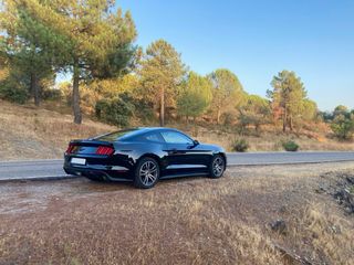 Ford Mustang 2015
