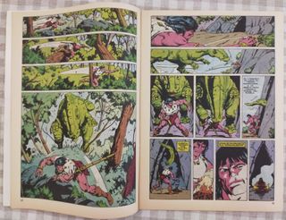 Conan El Bárbaro no 130 y 149