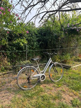Bicicleta BH clásica