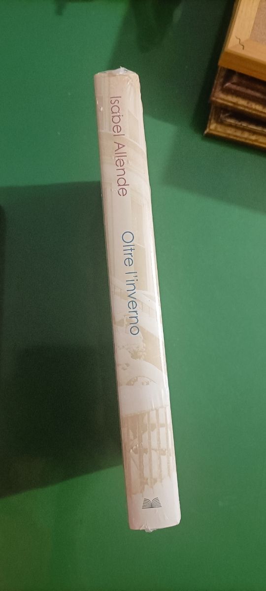 Oltre l'inverno (Italian Edition)