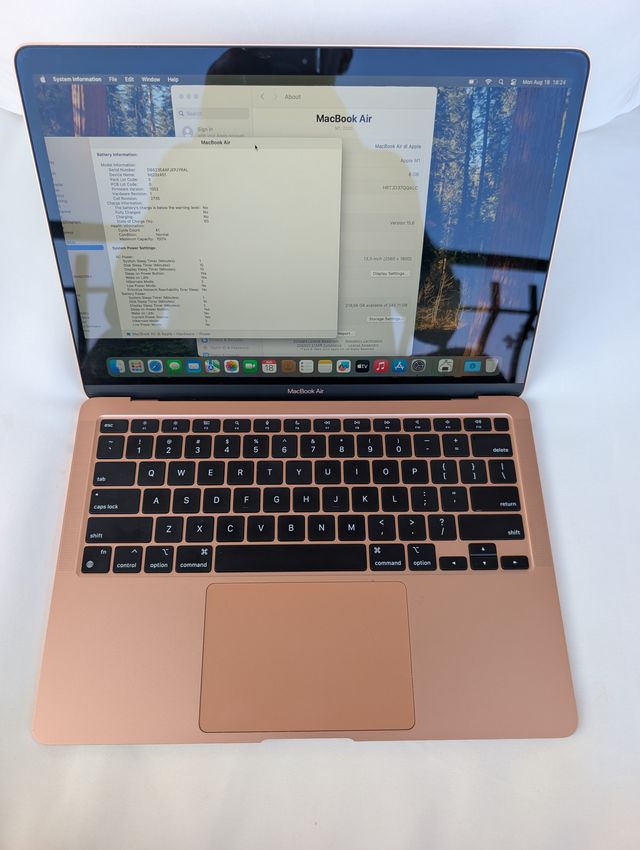 MacBook Air 13" M1 256GB