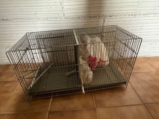 Jaula pájaros metalica