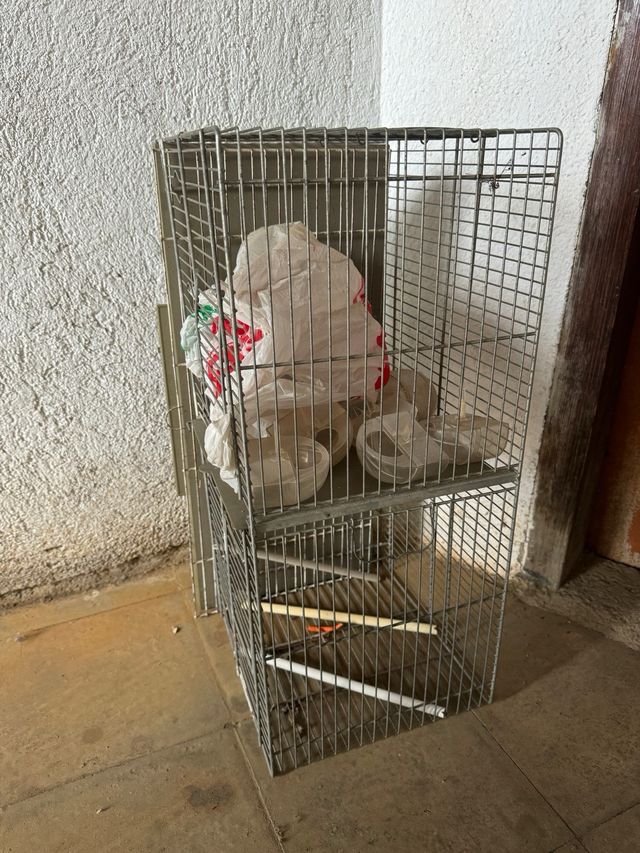 Jaula pájaros metalica