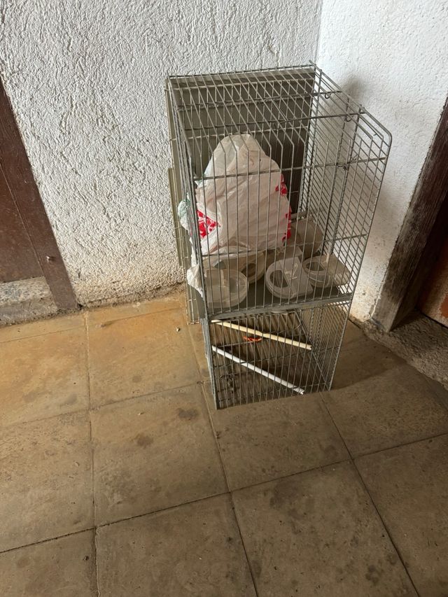 Jaula pájaros metalica