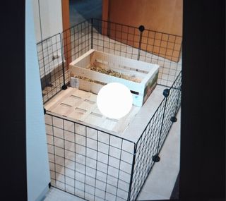 Jaula modular para mascotas