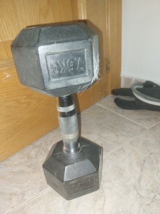 1 Mancuerna 7.5kg - Peso libre