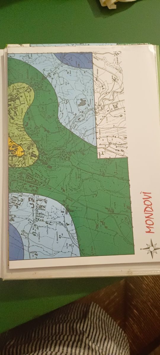 Libro: Licheni & Inquinamento Atmosferico (1997)