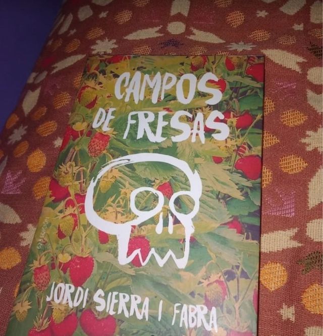 CAMPOS DE FRESAS