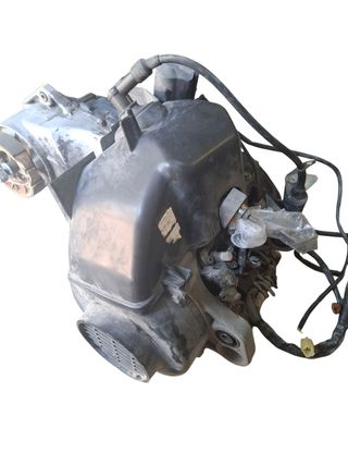 Motor Peugeot Speedake 49cc 
