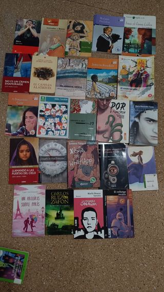 Varios libros de lectura


