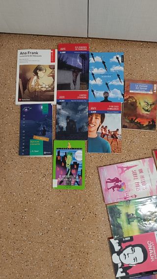 Varios libros de lectura


