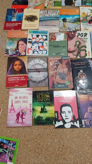 Varios libros de lectura


