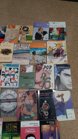 Varios libros de lectura


