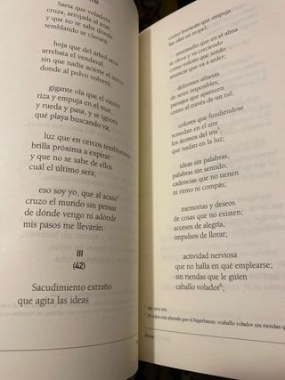 Rimas y leyendas (Classicos Juveniles / Juvenil...