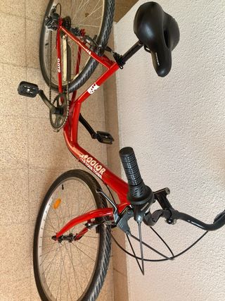 Bicicleta de paseo DTB
