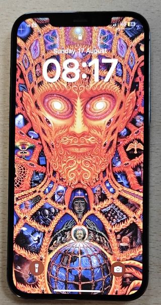 iPhone 12 Pro Max 256 GB + accessori