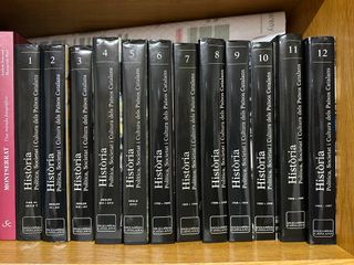 Història, política, societat i cultura dels Paisos