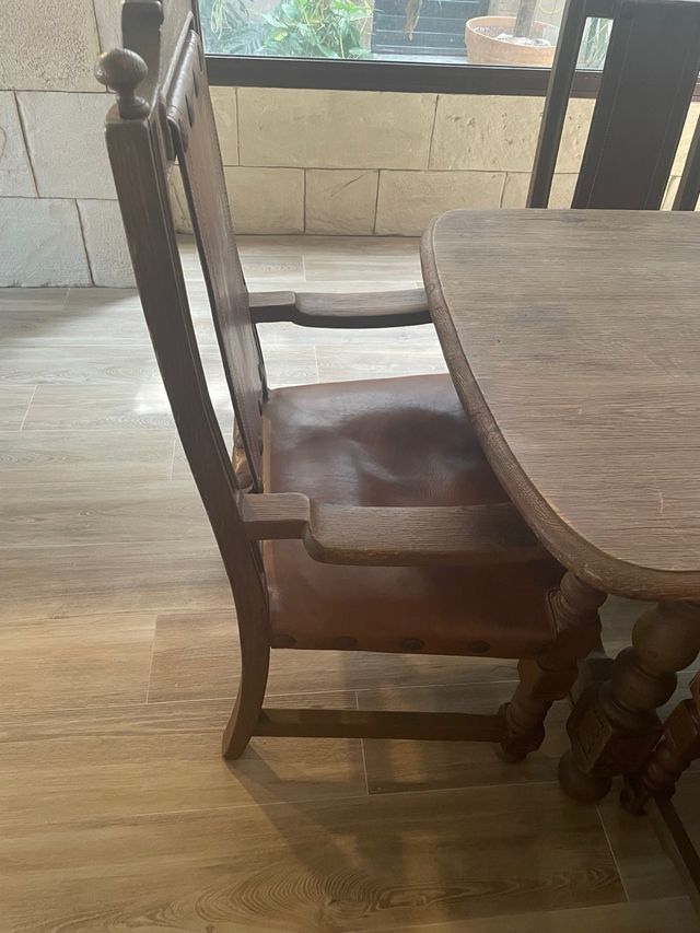 Conjunto mesa + 6 sillas madera + 2 sillones