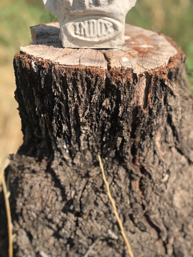 Águila decorativa Indox