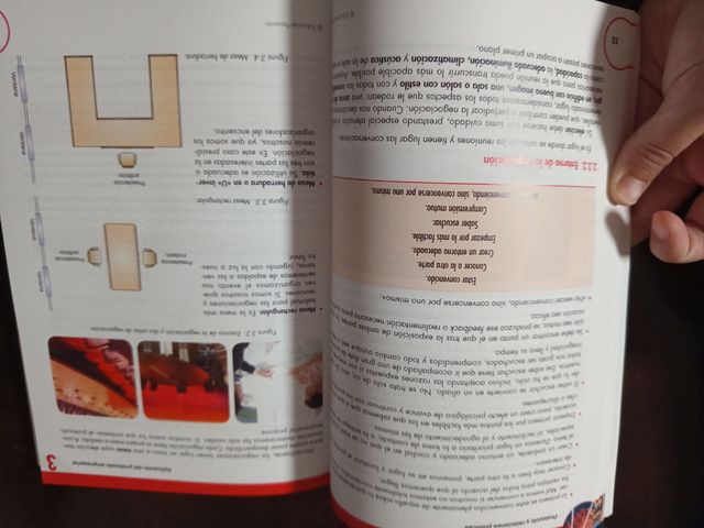 Protocolo y relaciones públicas 2.ª edición: Rú...