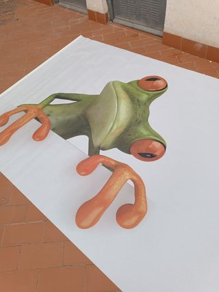 Cortina rana 🐸 gigante