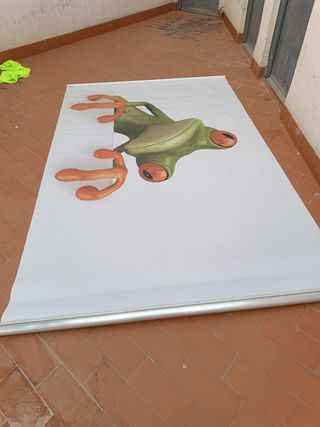 Cortina rana 🐸 gigante