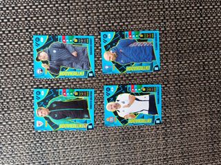 Cromos Entrenadores Adrenalyn XL 24-25