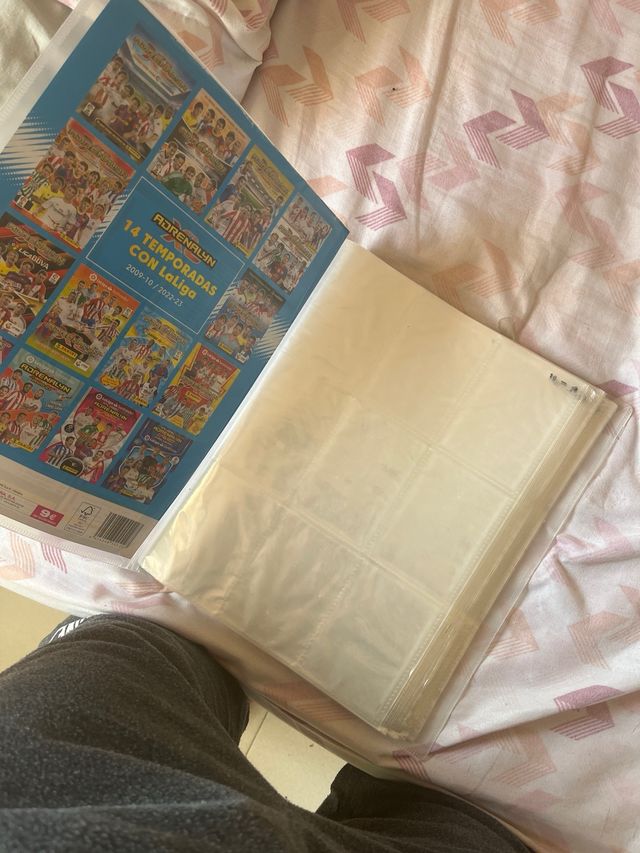 Lote cromos Panini 22-23