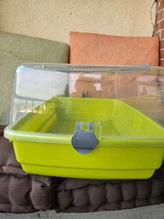 Terrario Tortuga - Verde Transparente