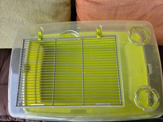 Terrario Tortuga - Verde Transparente