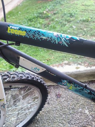 Bicicleta junior 