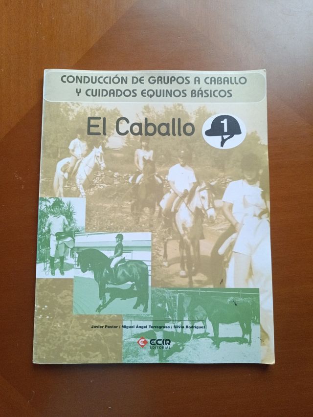 E:Equitación 1-2-3-4 y 5 el caballo: Conducción de