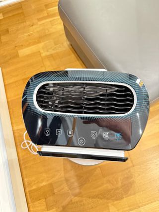 Rowenta Intense Pure Air XL
