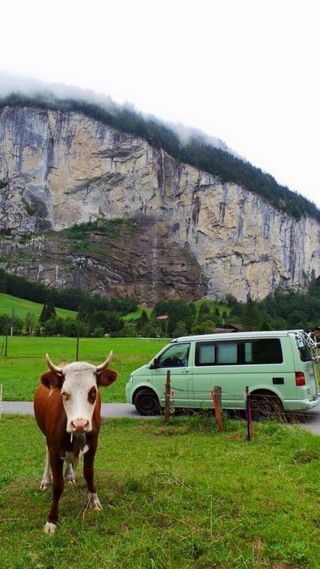 Volkswagen California T5 