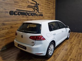 VOLKSWAGEN Golf Bluemotion 1.6 TDI 105CV