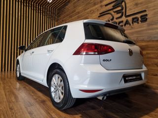 VOLKSWAGEN Golf Bluemotion 1.6 TDI 105CV