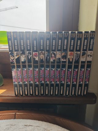 Bleach Gold 