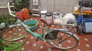 Bicicleta Cinzia Liberty Bike