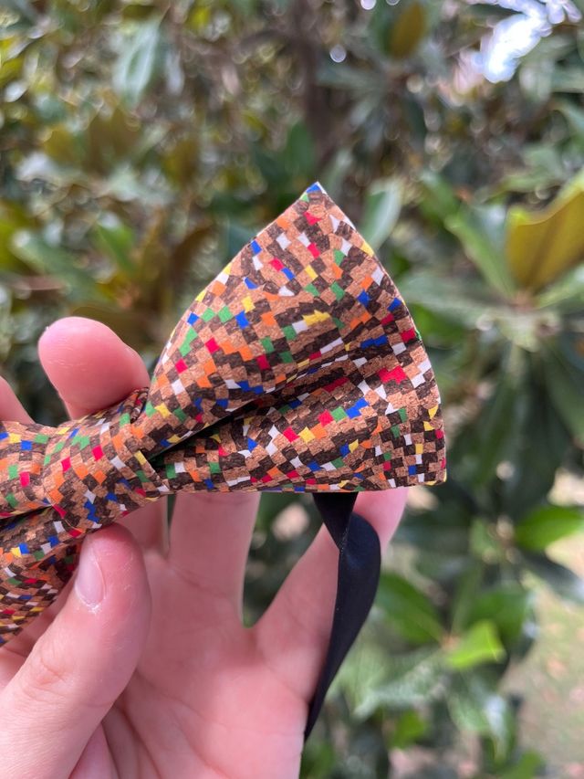 Papillon Sughero Multicolor