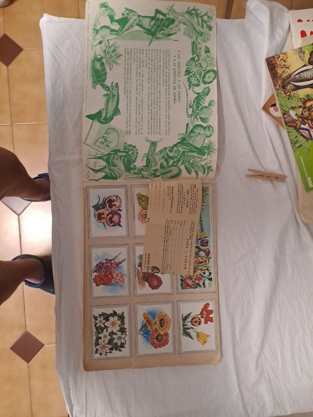 Album Life and Color Scrimmer