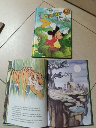 LOTE DE LIBROS DISNEY