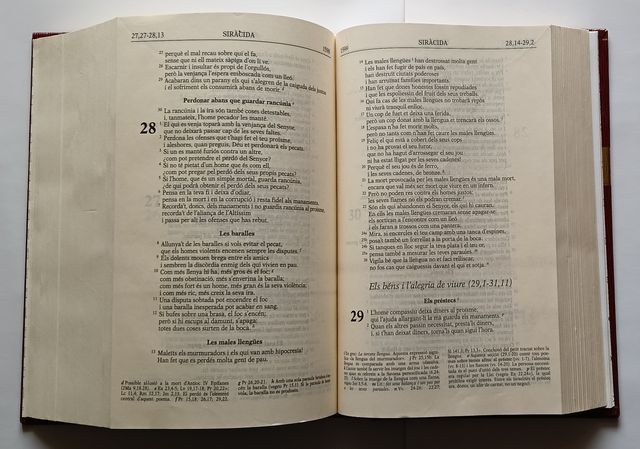 BÍBLIA EN CATALÀ