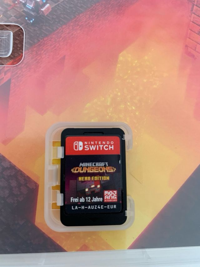 Minecraft Dungeons Hero Edition - Nintendo Switch