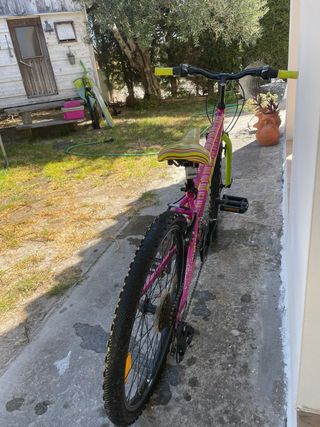 Bicicleta montaña 24"