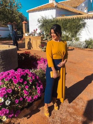 Mono elegante amarillo y azul