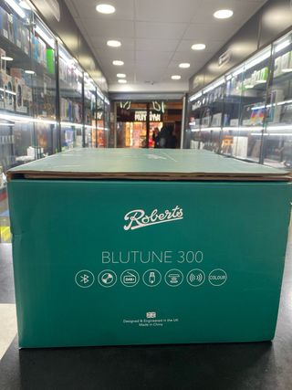 Roberts Blutune 300