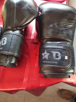 Guantes boxeo Fairtex 16oz.