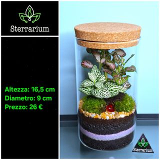 Terrarium by Sterrarium 