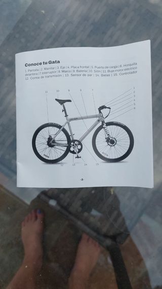 Bicicleta eléctrica VELCA GATA